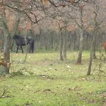 Valle D'itria Oda ve Kahvaltı *