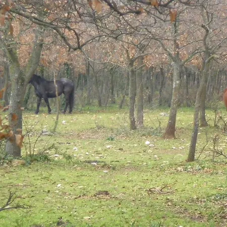 Valle D'itria Отель типа 