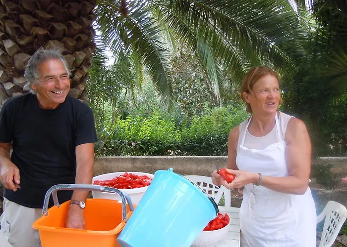 Oda ve Kahvaltı Valle D'itria *