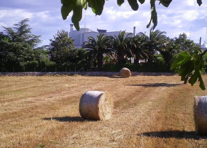 Valle D'itria Martina Franca